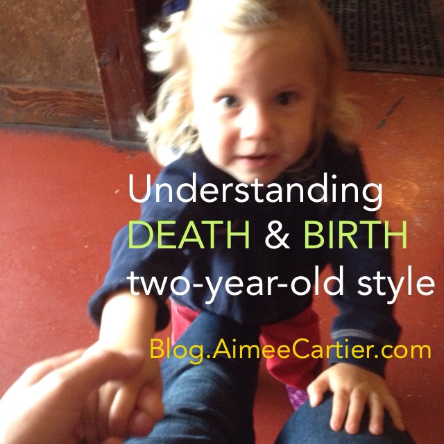 Understanding Death and Birth two-year-old style Aimee Cartier Blog