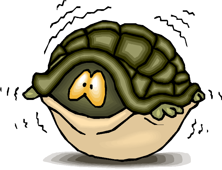 fear-turtle-jpg