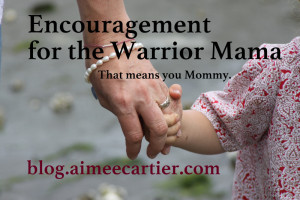 warrior mama encouragement by aimee cartier