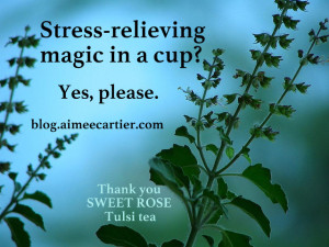 Stress-relieving magic in a cup? Yes please. aimee cartier blog. Tulsi plant pic by by Rajagopal Govindaraj