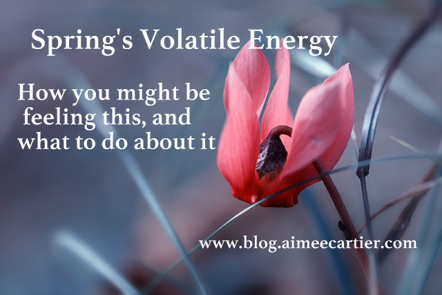 Volatile Spring Energy Aimee Cartier blog (pic by Markus Grossalber)