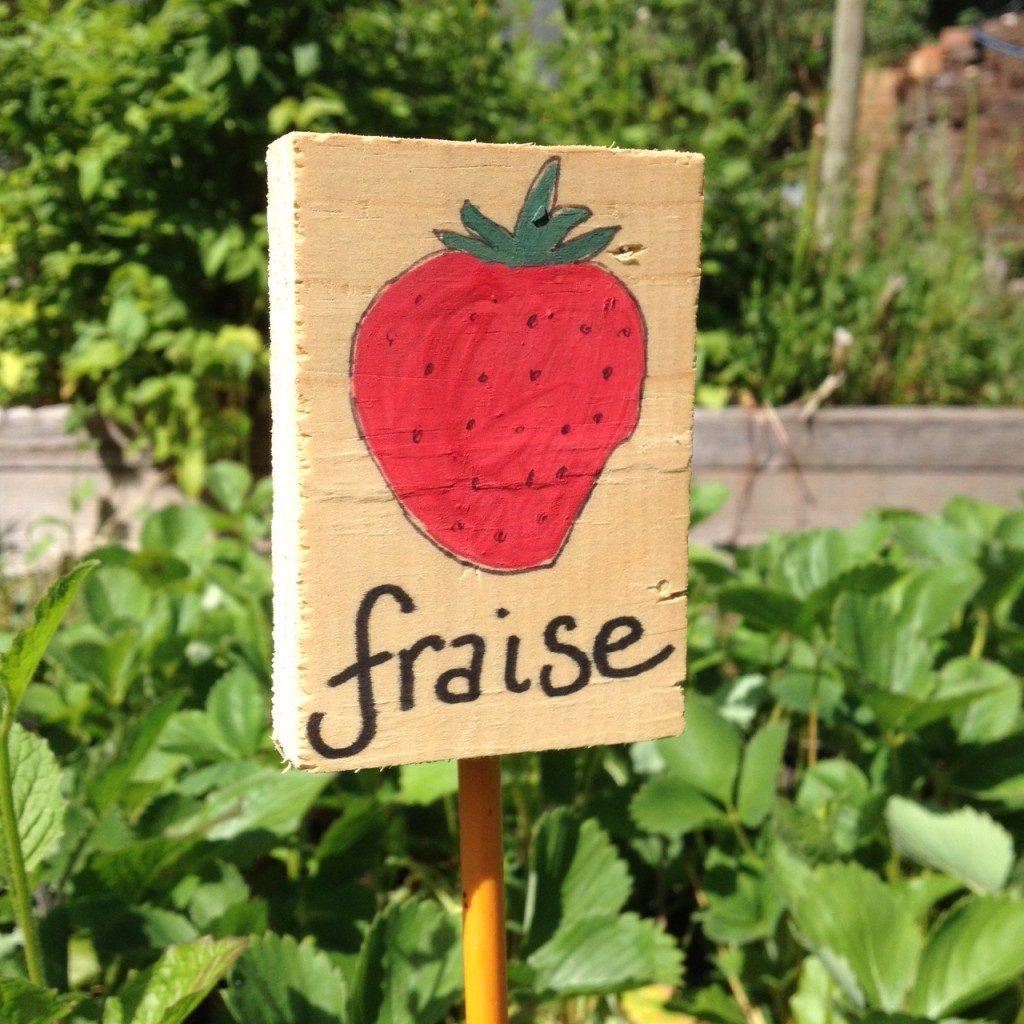 Just in case you didn't see the berries.  Garden sign made by yours truly.