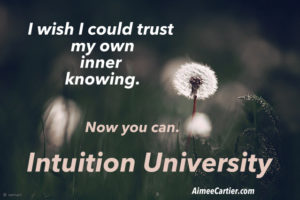 I wish I could trust my own knowing Intuition University pic seyed mostafa zamani-001
