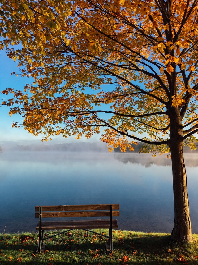 fall-meditative-bench